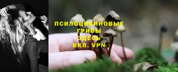 кокс Осинники