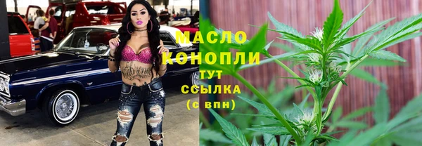 spice Богданович