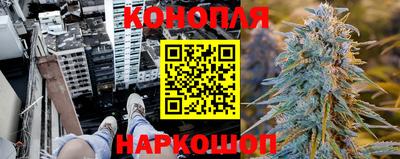 бошки Гатчина