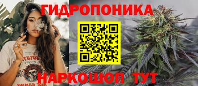 бошки Гатчина