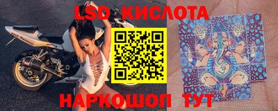 бошки Гатчина