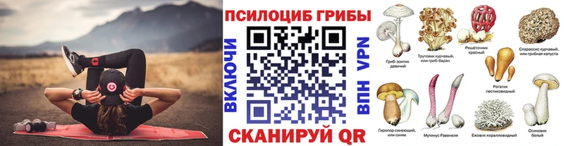 ссылка на мегу рабочий сайт  маркетплейс как зайти  Псилоцибиновые грибы Psilocybine cubensis  Шарыпово 