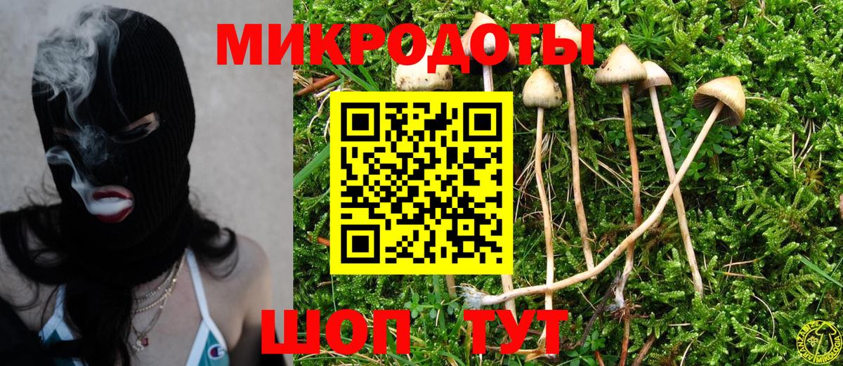 Псилоцибиновые грибы GOLDEN TEACHER  закладки  Шарыпово  Вход с VPN 
