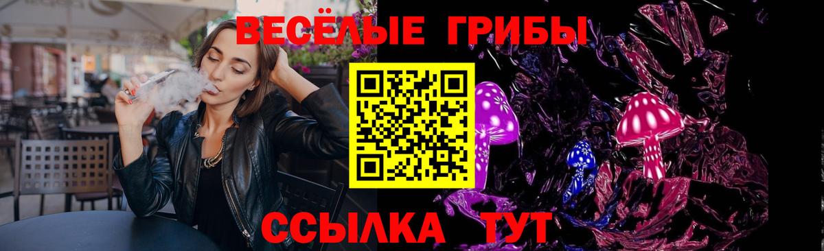 Галлюциногенные грибы мицелий  Псилоцибиновые грибы мицелий  хочу наркоту  Шарыпово 